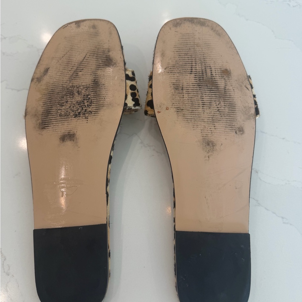 Tony Bianco Persia Leopard Print Flat Sandal - Picture 9 of 15